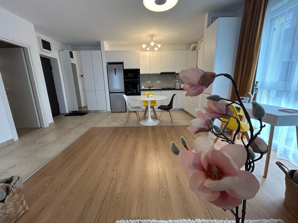 Kitchen or kitchenette, Dining area, oven, stove