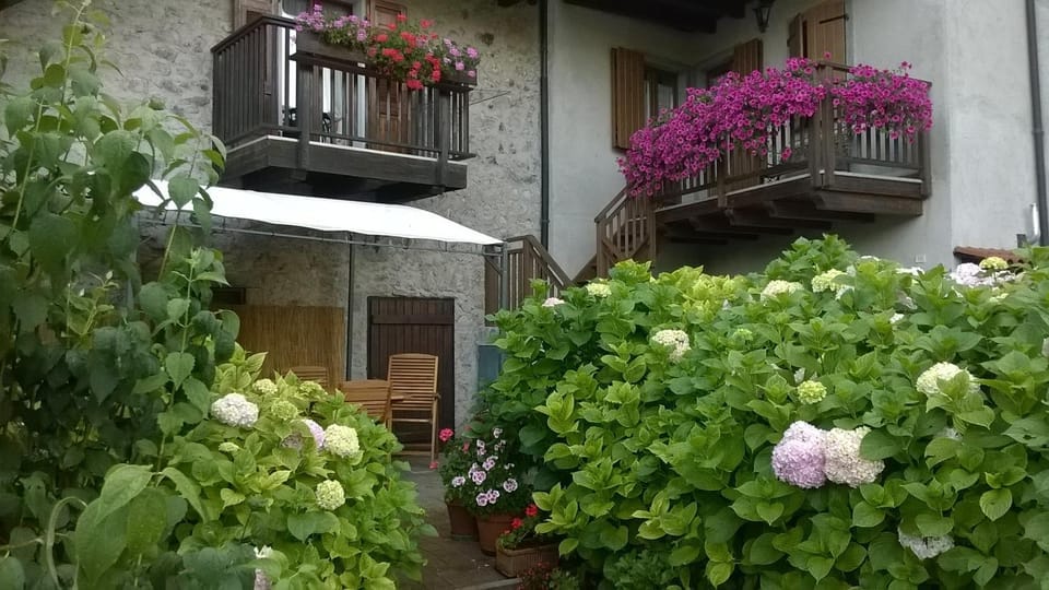 Property building, Garden view