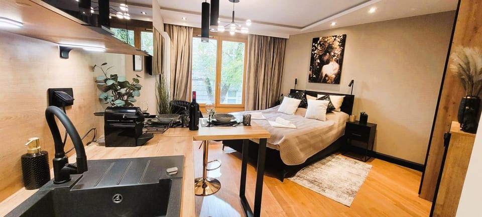 Bed, TV and multimedia, Kitchen or kitchenette, Living room, Photo of the whole room, Seating area, Evening entertainment, Bedroom