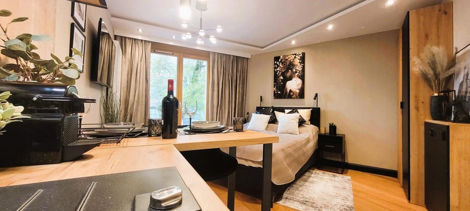 Bed, TV and multimedia, Kitchen or kitchenette, Living room, Photo of the whole room, Seating area, Dining area, Bedroom, minibar