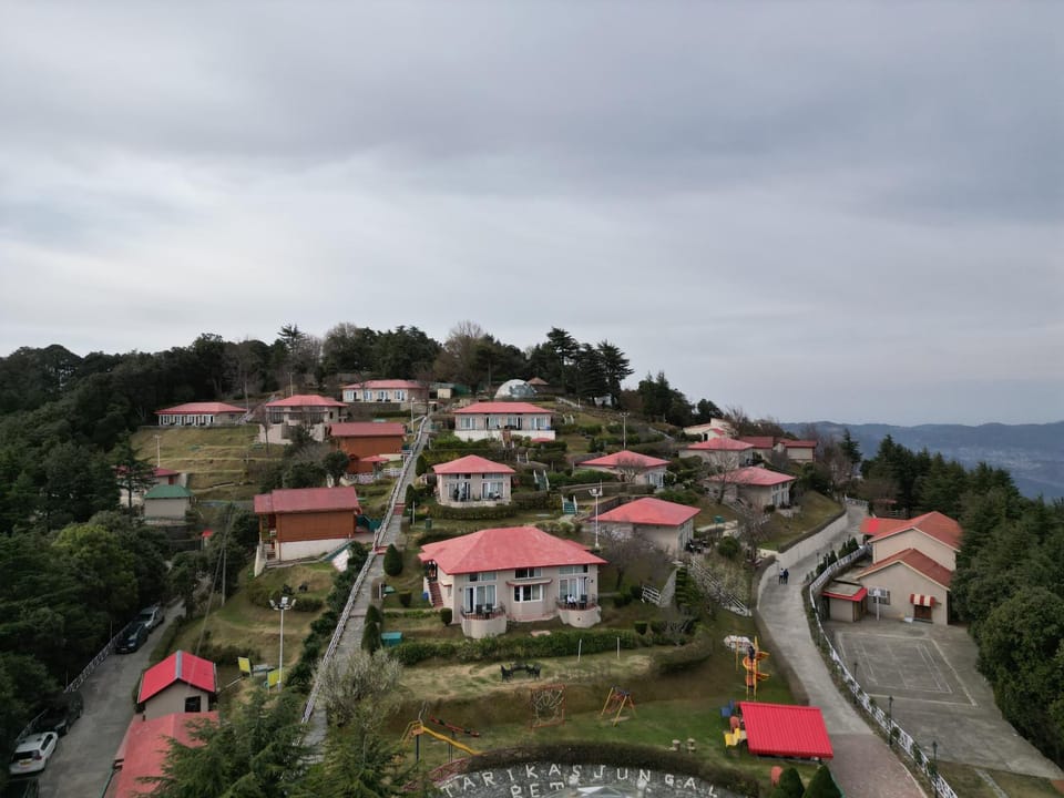 View (from property/room)