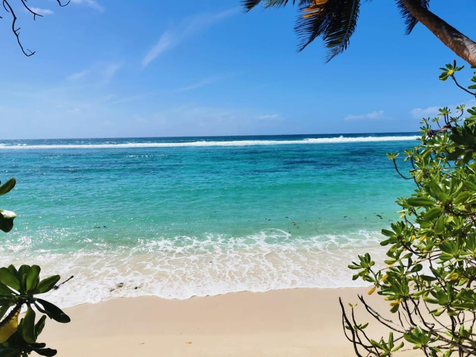 Snorkeling, Beach, Beach