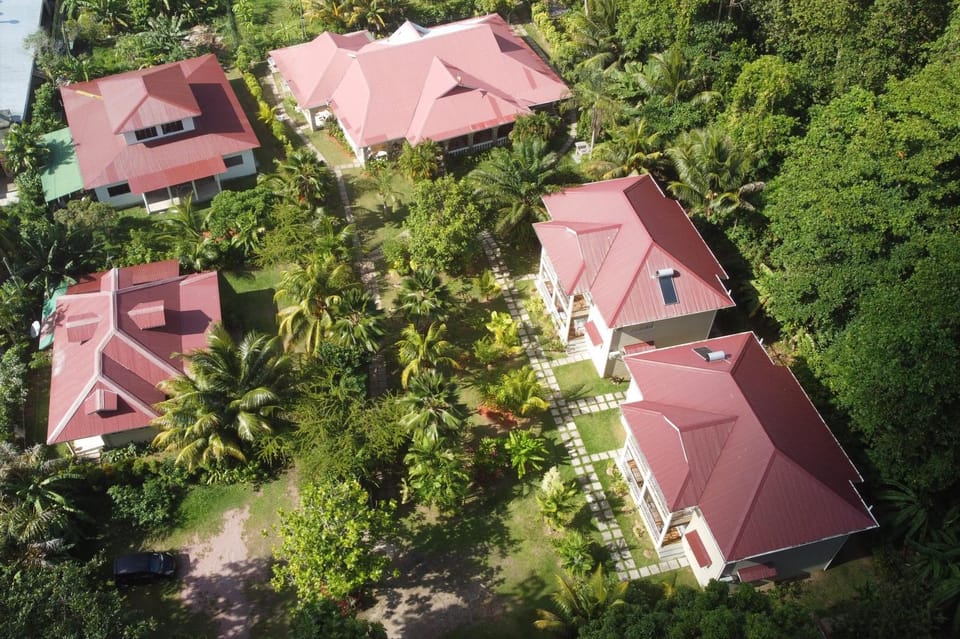 Property building, Natural landscape, Bird's eye view, Garden