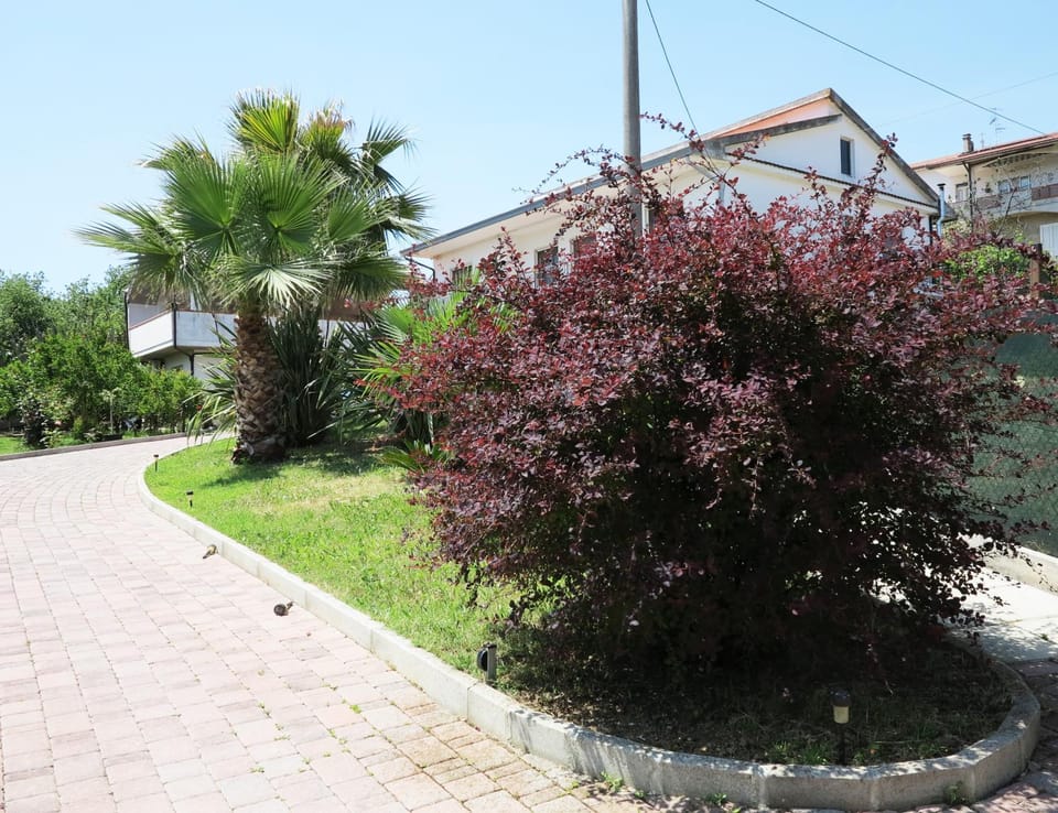 Garden, Garden view