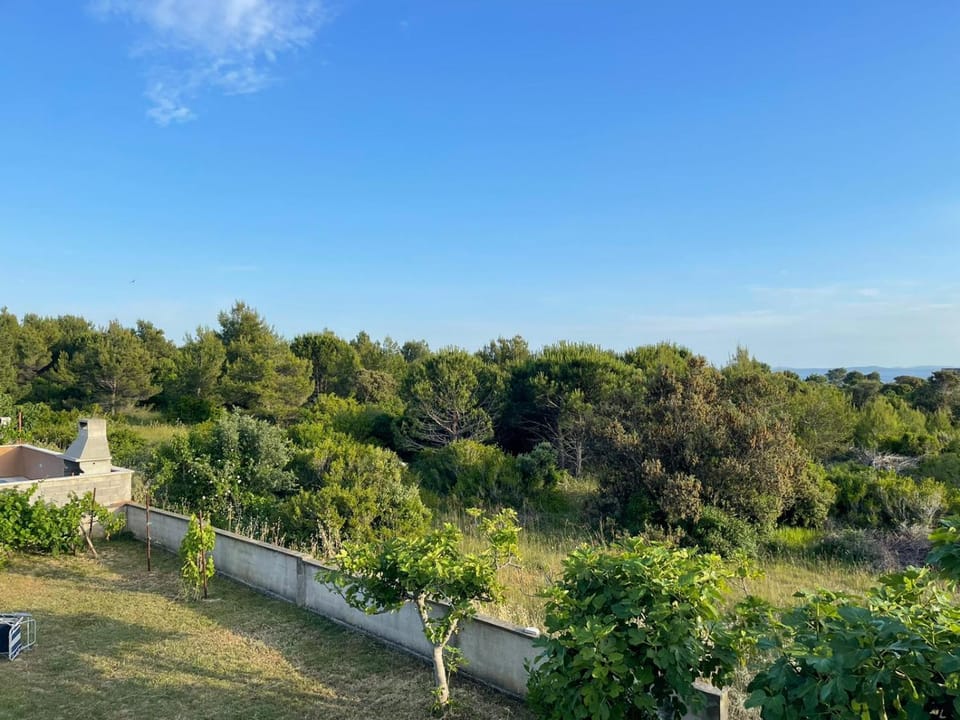 Garden, View (from property/room)
