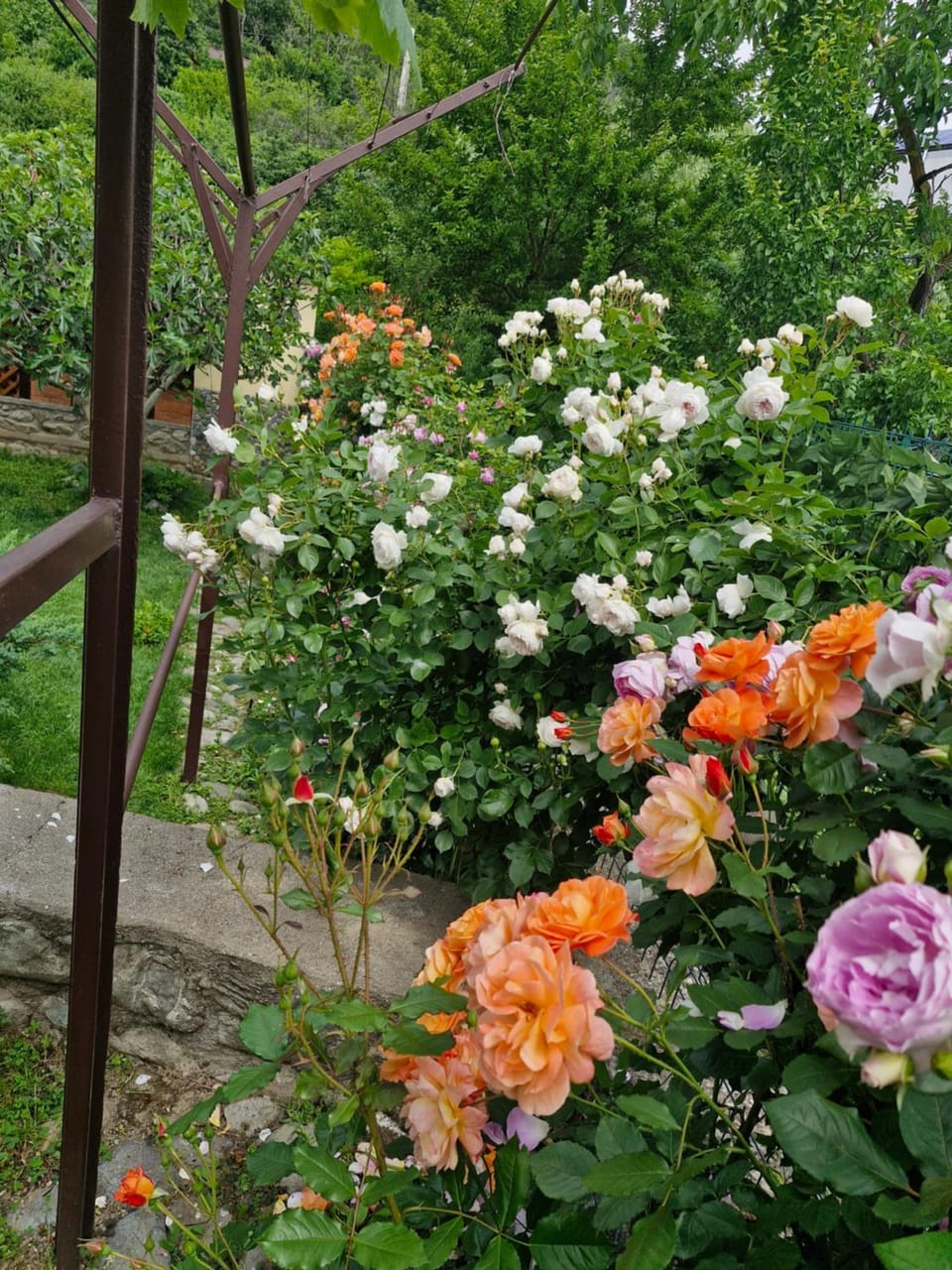 CASA NIRVANA Country House in Serbia