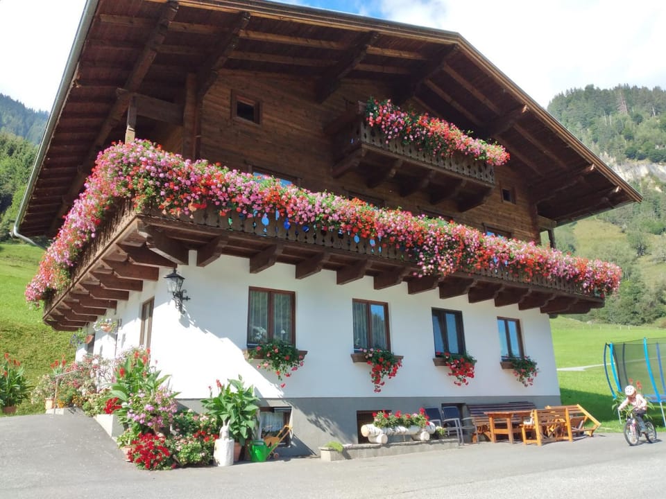 Bio-Bauernhof Schiederhof Apartment in Salzburgerland
