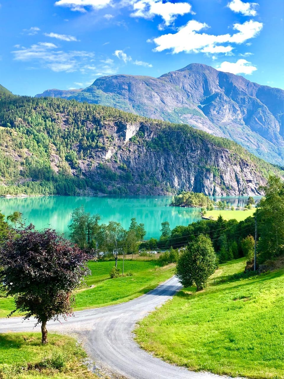 Lake view