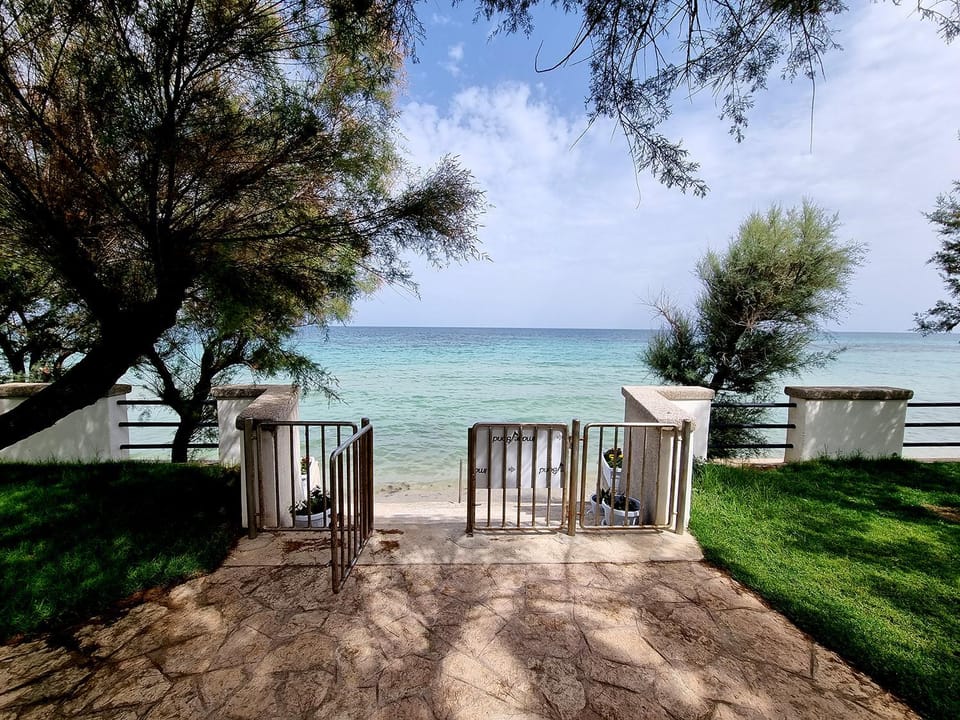 Natural landscape, Garden, Sea view