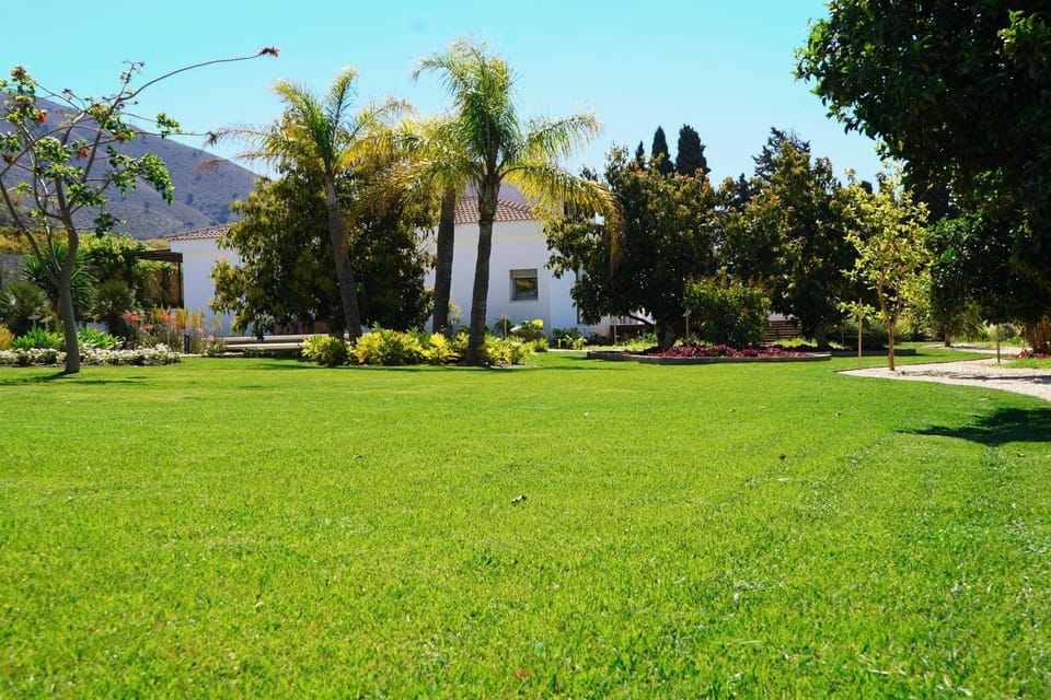 Garden, Garden view