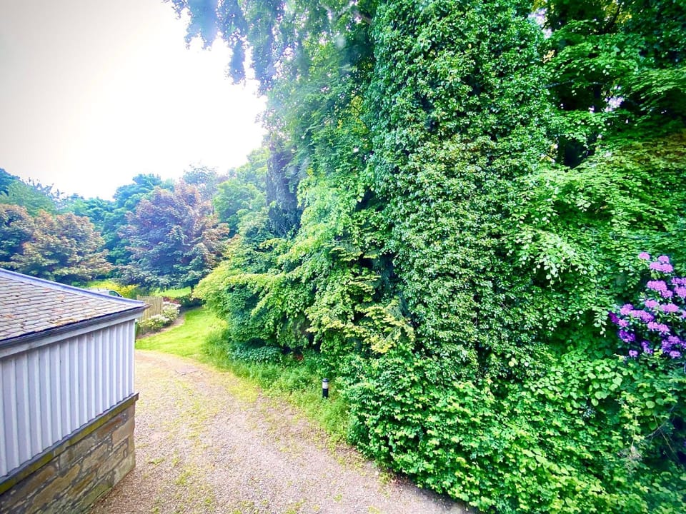 Grampian Serviced Apartments - Treetops Apartments Apartment in Elgin