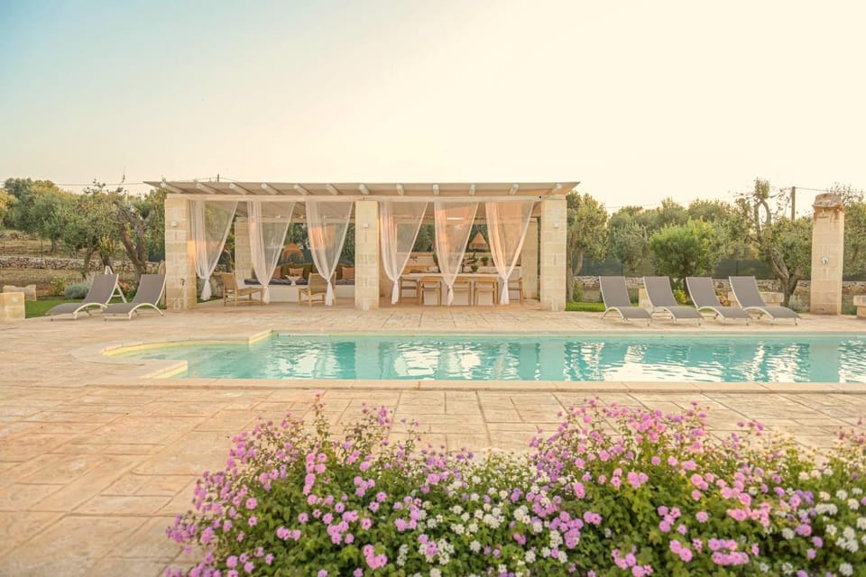 Patio, Floor plan, Swimming pool