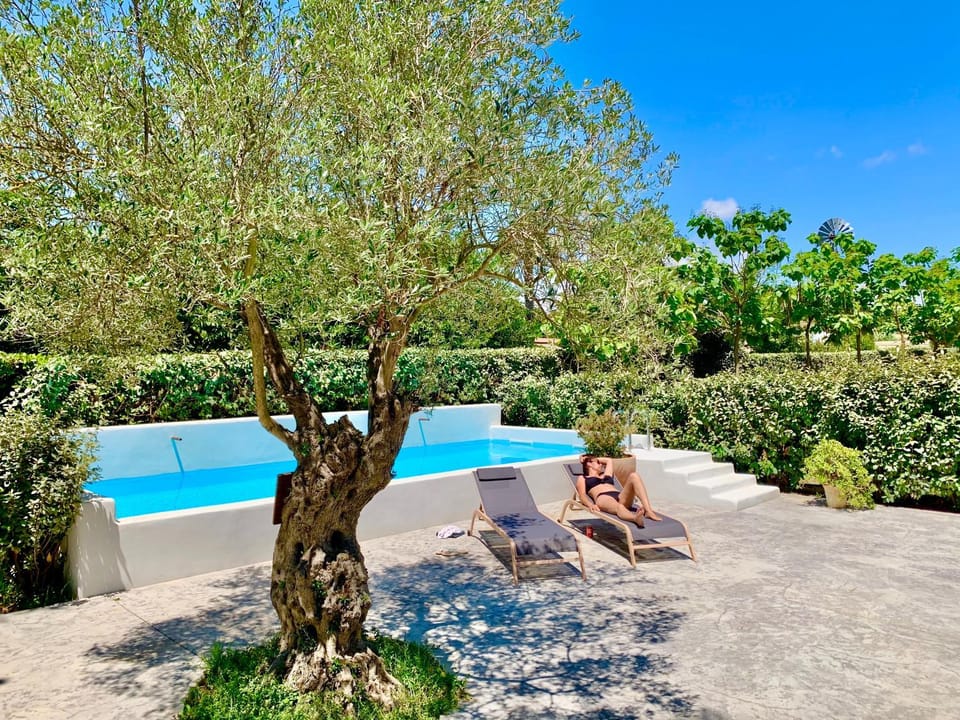 Patio, Spring, Day, Natural landscape, Garden, Garden view, Pool view, Swimming pool, sunbed