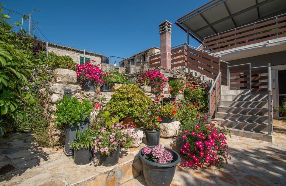 Property building, Day, Garden