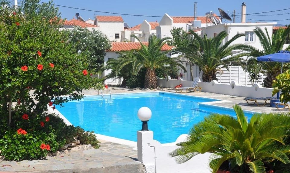 Garden, Swimming pool, Swimming pool