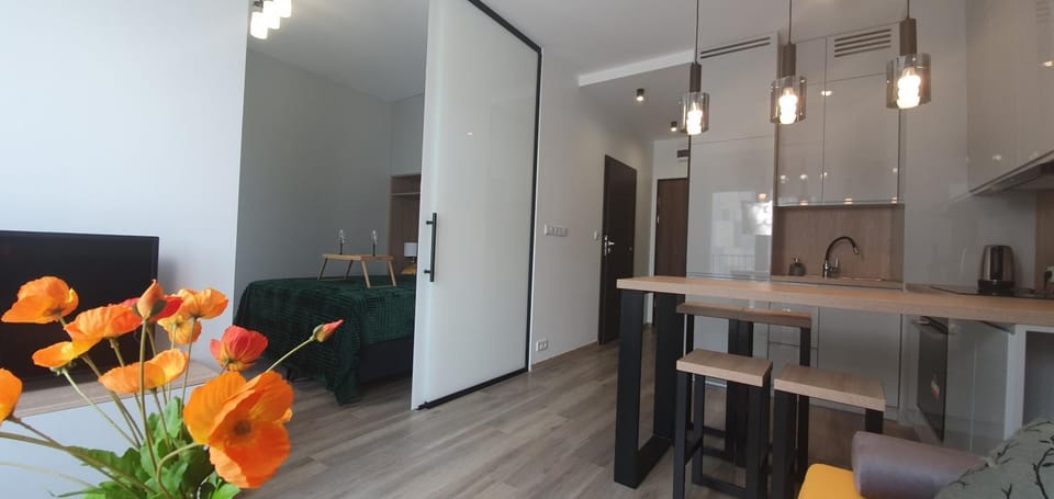 TV and multimedia, Kitchen or kitchenette, Living room