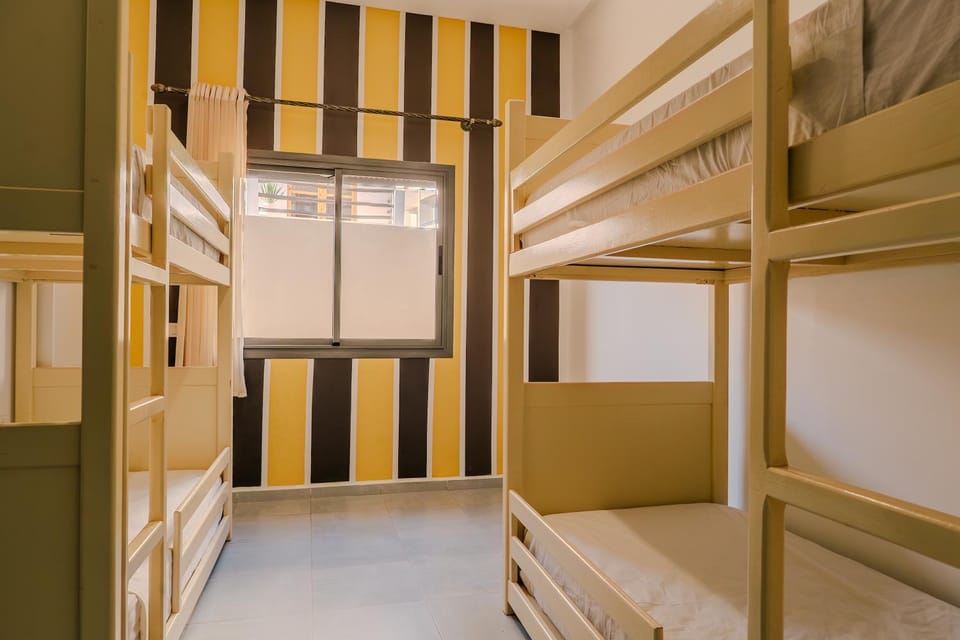 Bed, Photo of the whole room, Bedroom, bunk bed