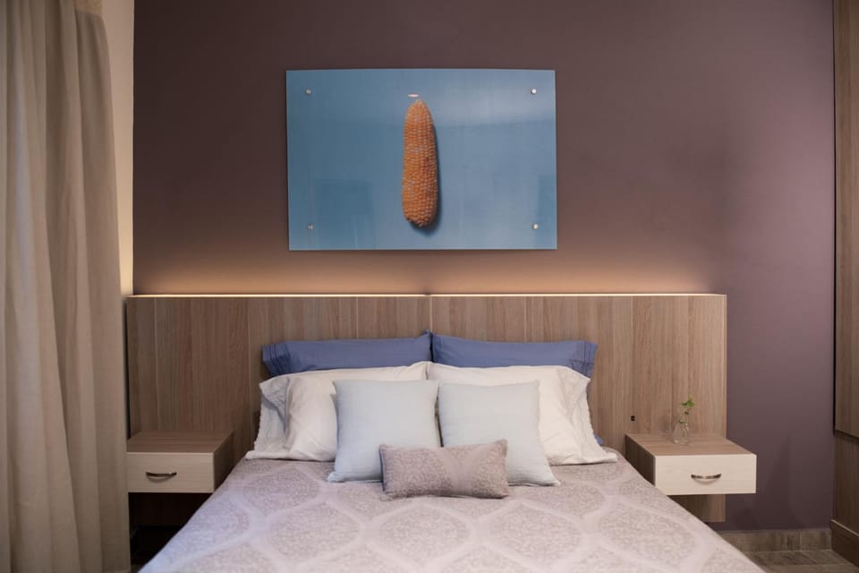 Casa Carmelia La Condesa Apartment in Mexico City