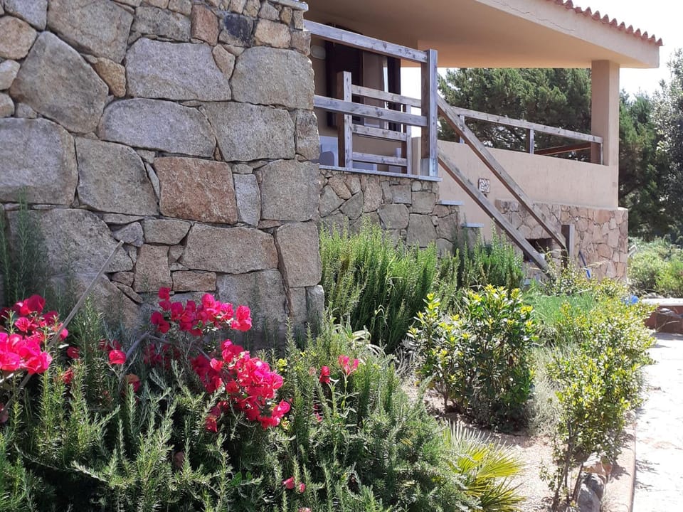villa aloe 2 House in Sardinia