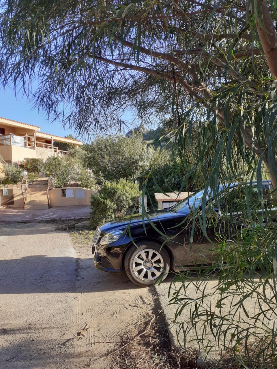 villa aloe 2 House in Sardinia