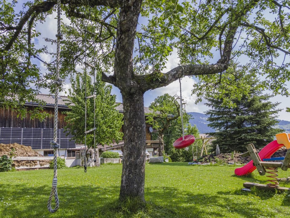 Summer, Garden