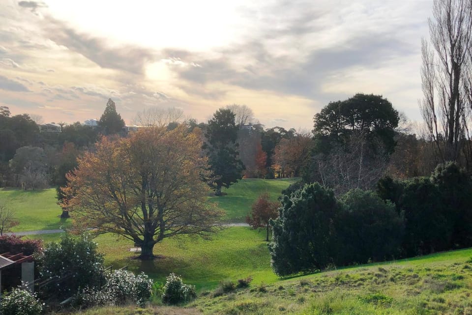 Natural landscape, Garden view