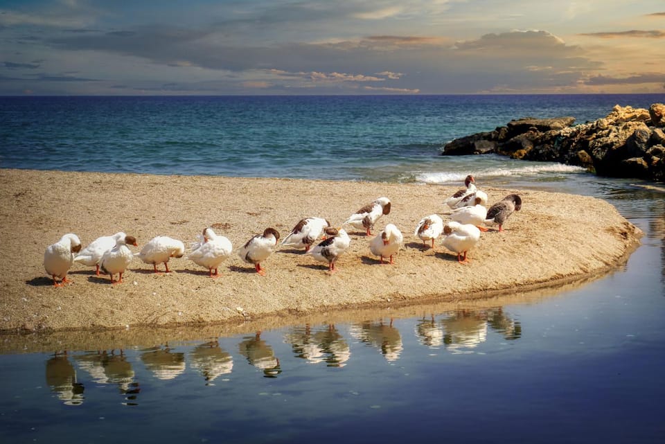 Natural landscape, Beach