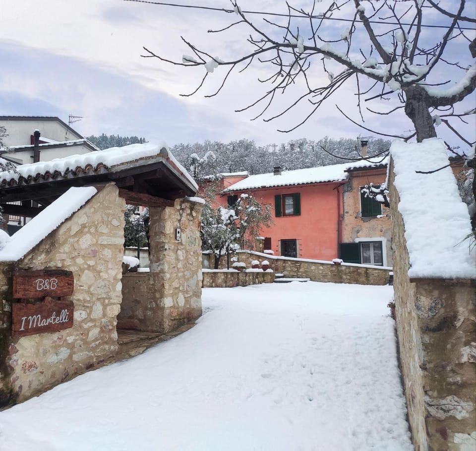 Property building, Natural landscape, Winter