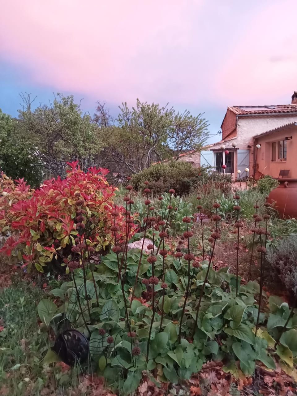 Property building, Day, Garden