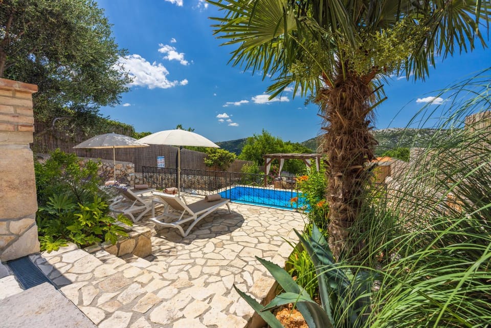 Patio, Day, Garden view, Pool view, Swimming pool, sunbed