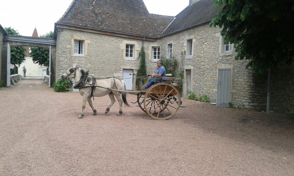 Château De Serrigny Bed and Breakfast in Bourgogne-Franche-Comté