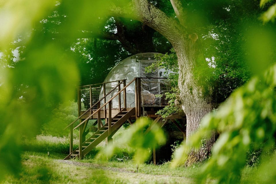 les bulles perchées de lartigue Bed and Breakfast in Occitanie