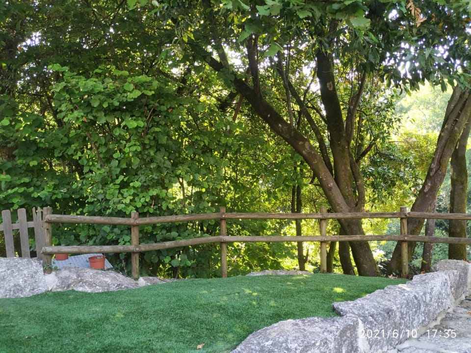 Natural landscape, Garden