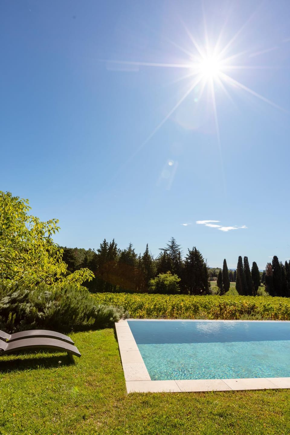 Garden, Swimming pool, Swimming pool