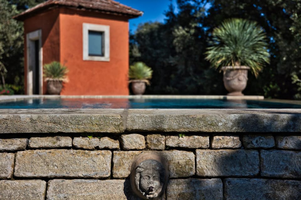 Swimming pool, Swimming pool