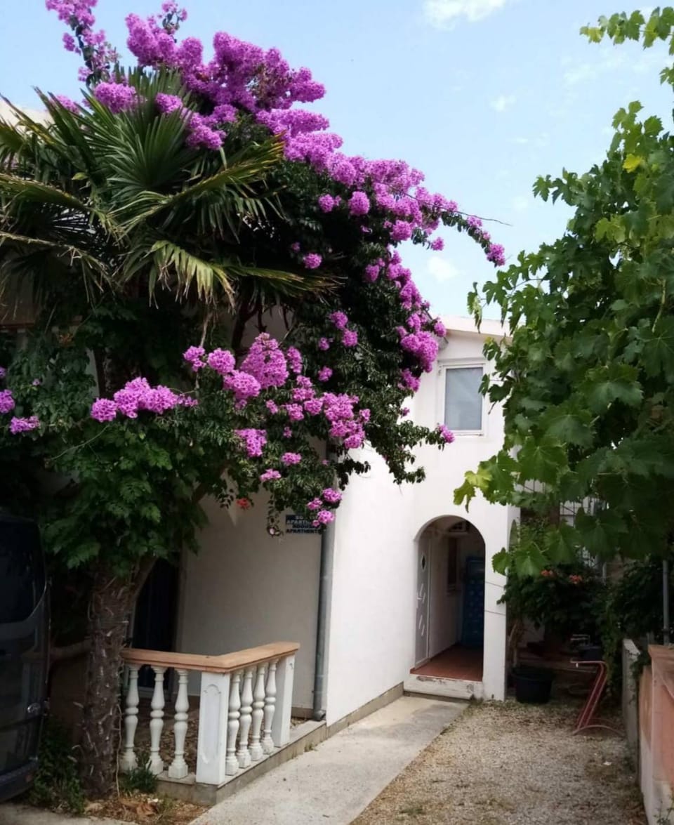Apartments Kore Apartment in Zadar County