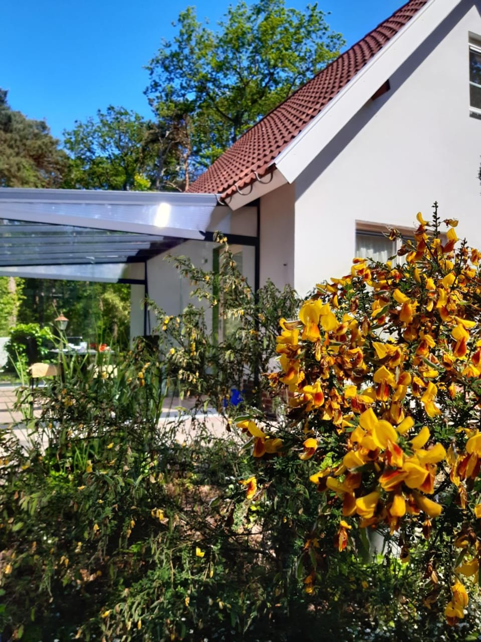 Vakantiewoning Zwaluw Beerze House in Overijssel (province)