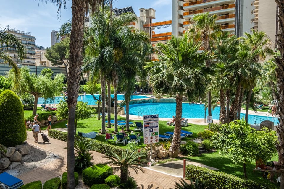 Garden, Garden view, Pool view, Swimming pool, sunbed