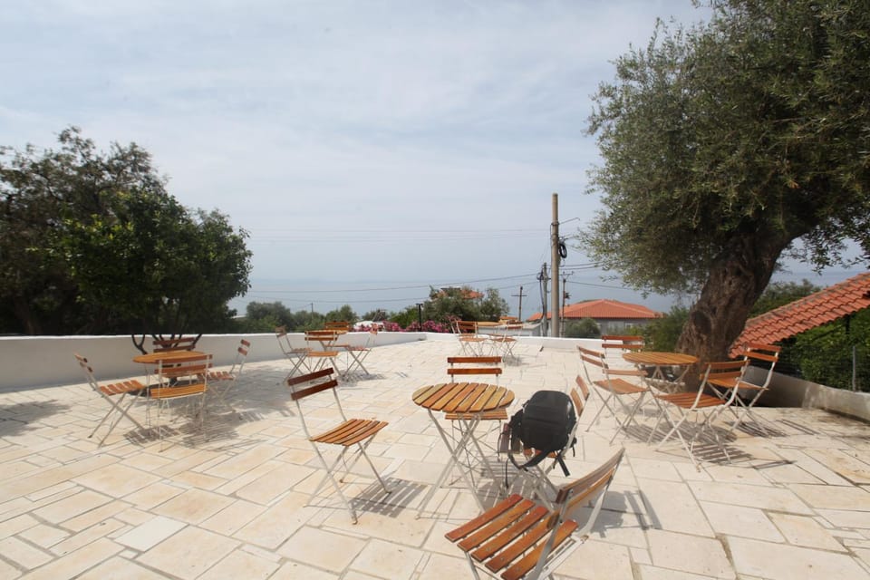 Patio, Bird's eye view, Garden, Garden view