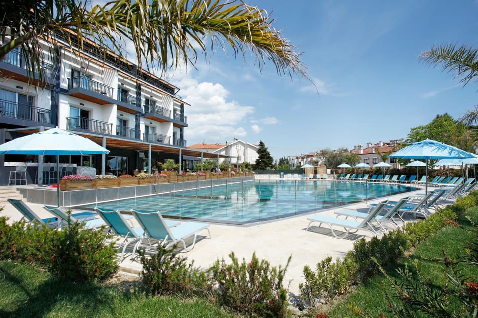 Property building, Day, Garden, Pool view, Swimming pool, Swimming pool, sunbed