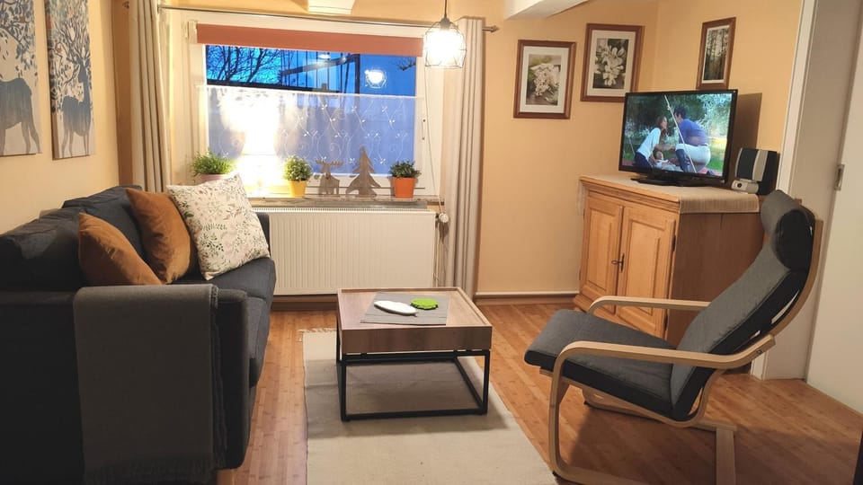 Fewo Holms Apartment in Winterberg