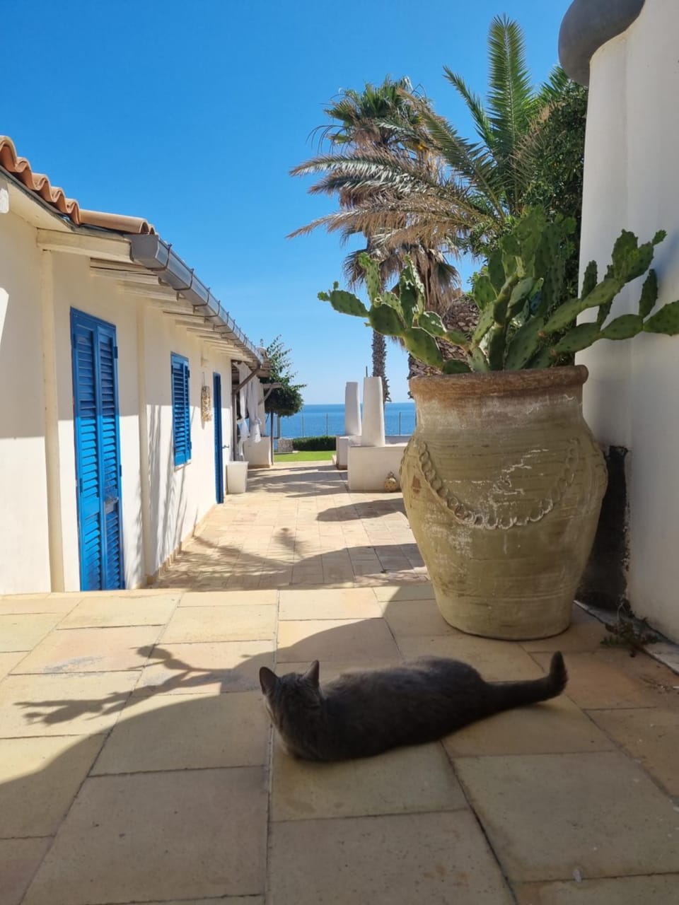 Facade/entrance, Natural landscape, Sea view