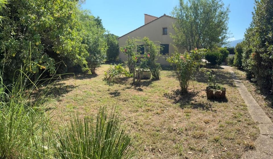 Property building, Garden, Garden view