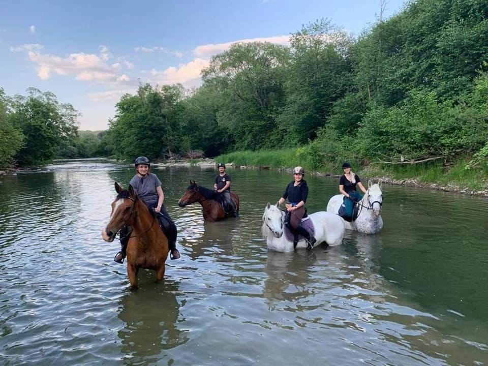 Horse-riding
