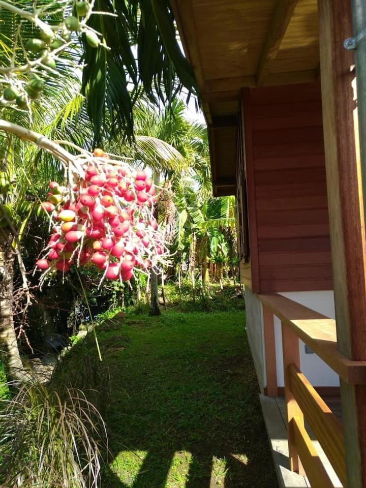 Un cosy sous le vent House in Leeward Islands
