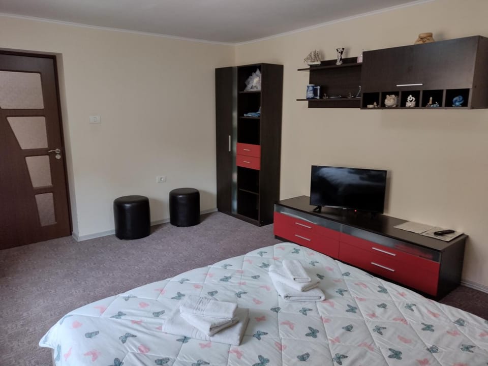 Mario's Cozy Apartment Apartment in Brașov County