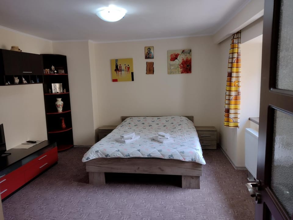 Mario's Cozy Apartment Apartment in Brașov County