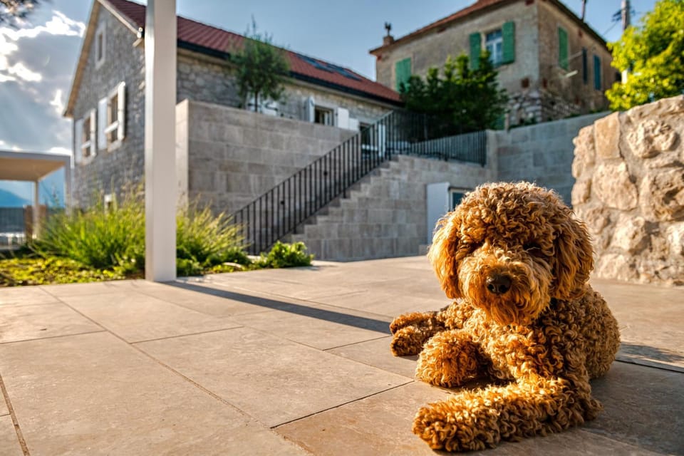 Property building, Garden, Pets, Pets