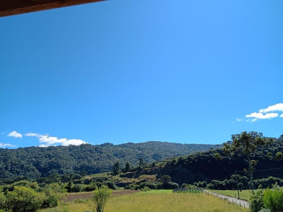 cabana e casa de campo bromélia House in State of Santa Catarina
