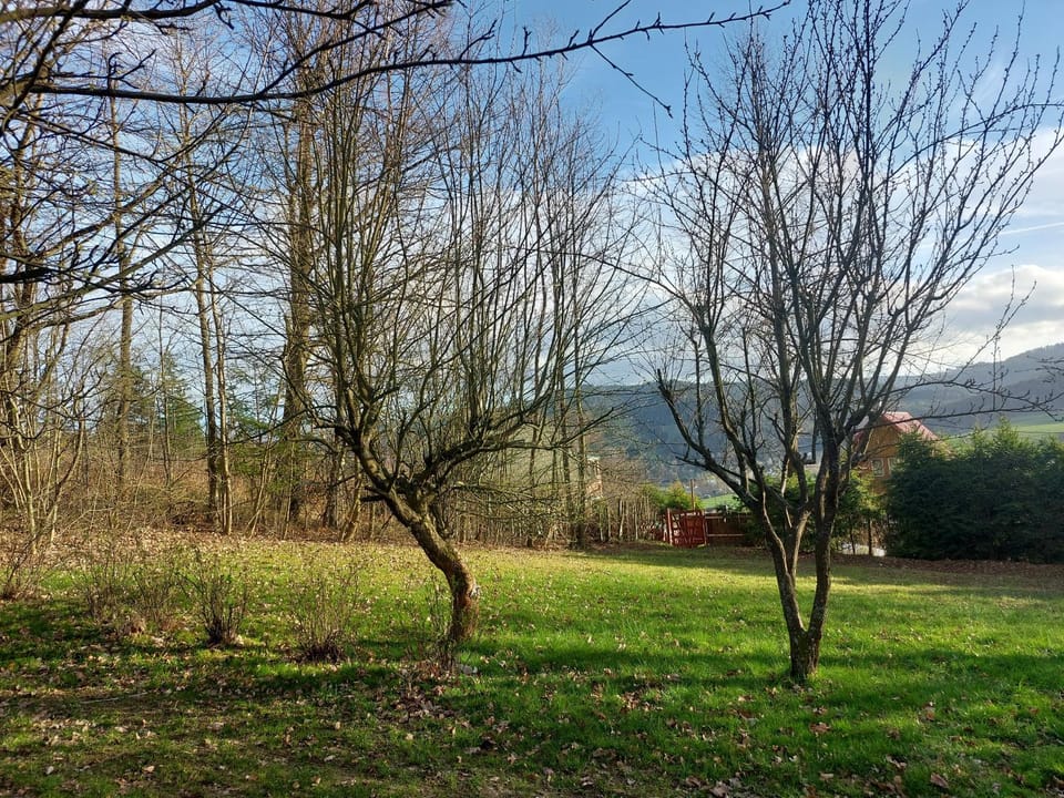 Chata na Poskle u lesa s výhledem House in Czechia